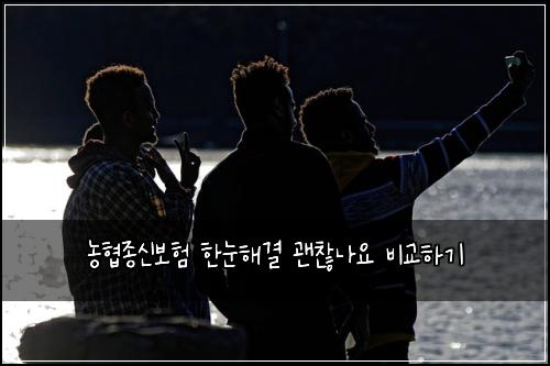 ๋ํ์ข
์ ๋ณดํ ํ๋ํด๊ฒฐ ๊ด์ฐฎ๋์ ๋น๊ตํ๊ธฐ