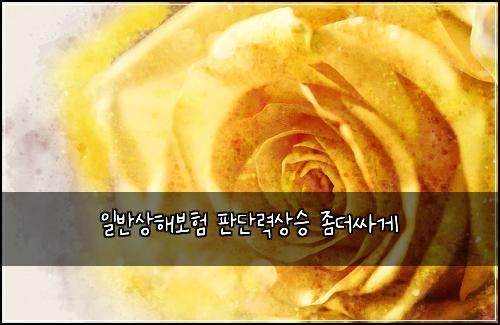 일반상해보험 판단력상승  좀더싸게