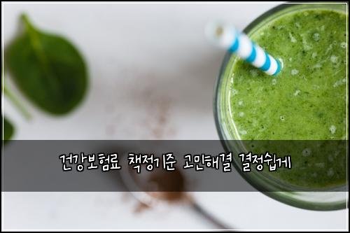 건강보험료 책정기준 고민해결 결정쉽게