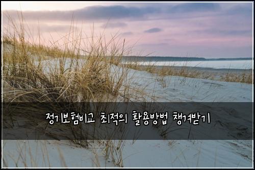 정기보험비교 최적의 활용방법 챙겨받기