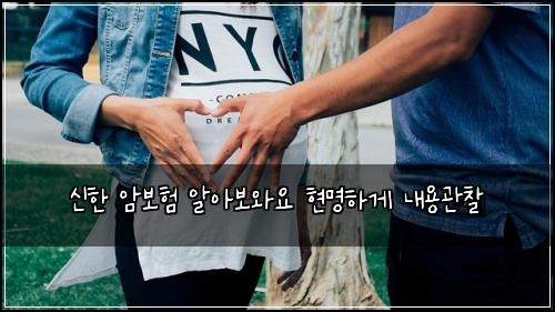 신한 암보험 알아보와요  현명하게 내용관찰