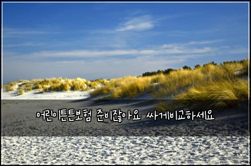 어린이튼튼보험 준비잖아요  싸게비교하세요
