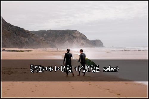 ๋๋ถํ์ฌ์์ด๋ณดํ ๊ฐ์
๋ณดํ๋ฃ select