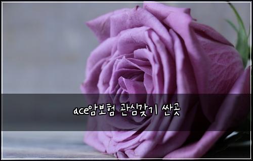 ace์๋ณดํ ๊ด์ฌ๊ฐ๊ธฐ ์ผ๊ณณ