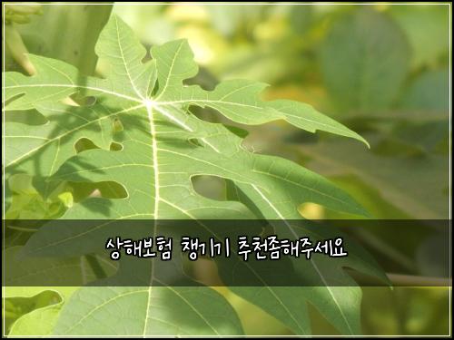 ์ํด๋ณดํ ์ฑ๊ธฐ๊ธฐ ์ถ์ฒ์ขํด์ฃผ์ธ์