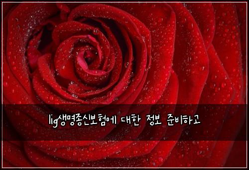 lig생명종신보험에 대한 정보 준비하고