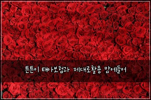 ํผํผ์ด ํ์๋ณดํ๊ณผ ์ ๋๋กํ์ฉ ๋ง์๋ค์ด