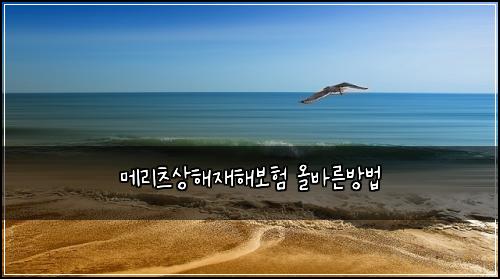 메리츠상해재해보험 올바른방법 
