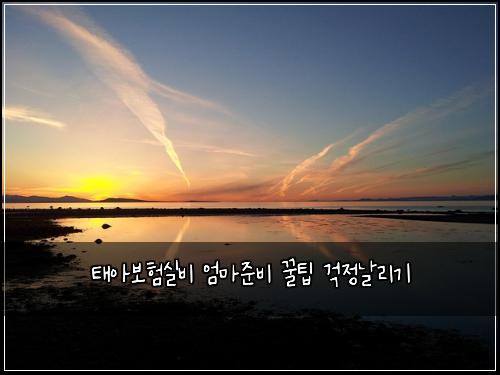 태아보험실비 엄마준비 꿀팁 걱정날리기