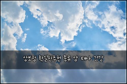 ์๋ณดํ ํ์คํ์ถ์ฒ ์ข
๋ฅ ์ ํ์ ๊ฑด๊ฐ