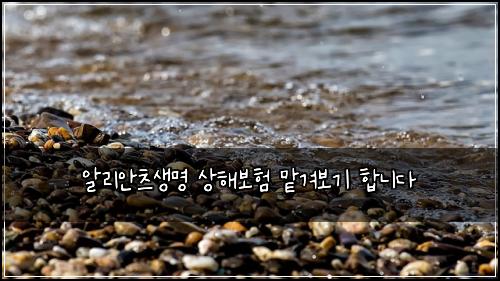 μ리μμΈ μλͺ
μν΄λ³΄ν 맑겨보기 ν©λλ€