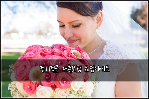 정기적금 저축보험 요점이에요 