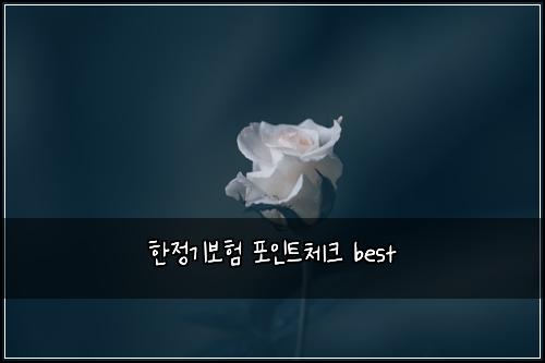 ํ์ ๊ธฐ๋ณดํ ํฌ์ธํธ์ฒดํฌ best