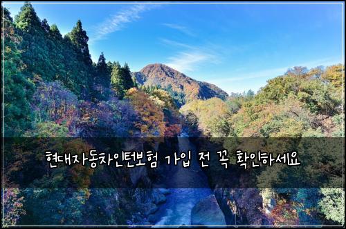 현대자동차인턴보험 가입 전 꼭 확인하세요