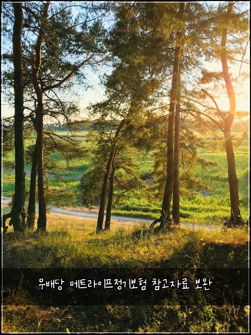 무배당 메트라이프정기보험 참고자료  보완