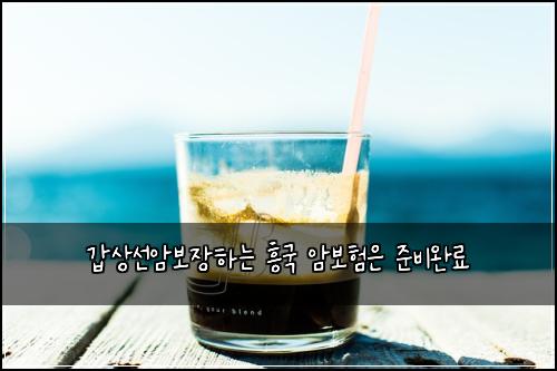 ๊ฐ์์ ์๋ณด์ฅํ๋ ํฅ๊ตญ ์๋ณดํ์ ์ค๋น์๋ฃ