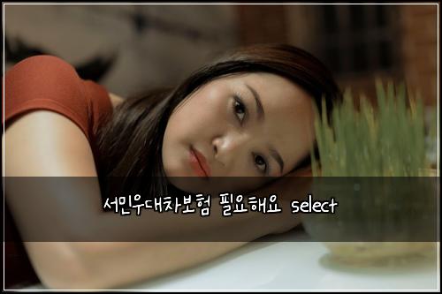 서민우대차보험 필요해요  select