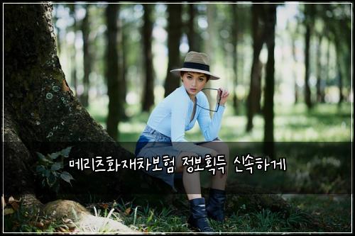 메리츠화재차보험 정보획득  신속하게