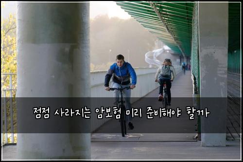 점점 사라지는 암보험 미리 준비해야 할까