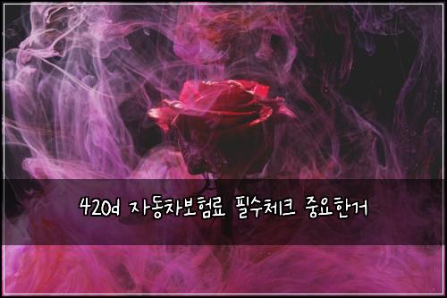 420d ์๋์ฐจ๋ณดํ๋ฃ ํ์์ฒดํฌ ์ค์ํ๊ฑฐ