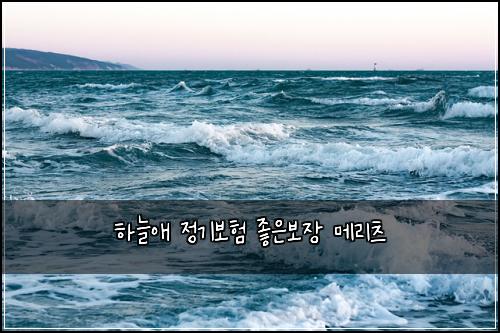 하늘애 정기보험 좋은보장  메리츠