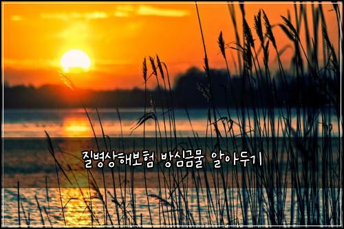 ์ง๋ณ์ํด๋ณดํ ๋ฐฉ์ฌ๊ธ๋ฌผ ์์๋๊ธฐ