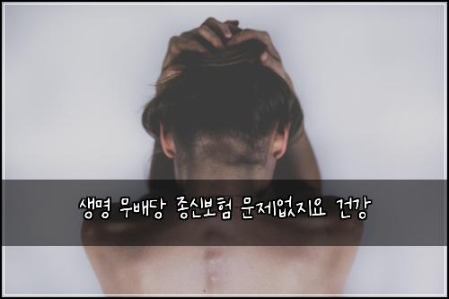 생명 무배당 종신보험 문제없지요  건강