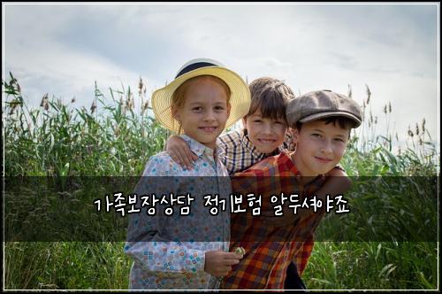 가족보장상담 정기보험 알두셔야죠 