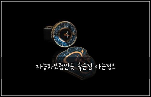 ์๋์ฐจ๋ณดํ์ผ๊ณณ ์ข์์ ์๋์ ๋ณด