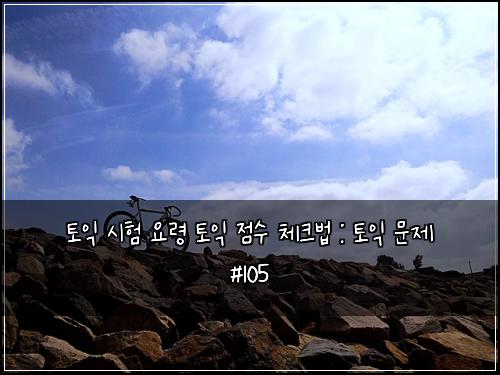 토익 시험 요령 토익 점수 체크법 : 토익 문제 #105