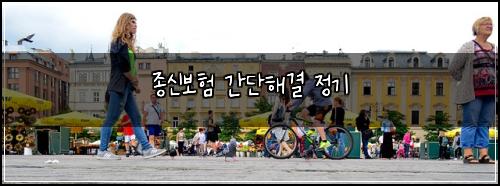 종신보험 간단해결  정기