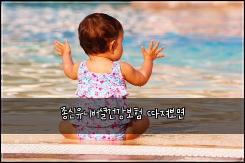 종신유니버셜건강보험 따져보면 