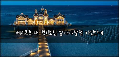 메리츠화재 정기보험 알아야할점  가입안내