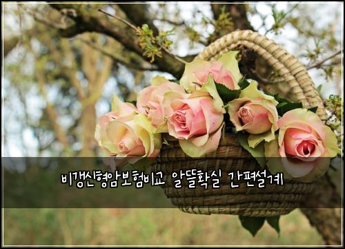 비갱신형암보험비교 알뜰확실 간편설계