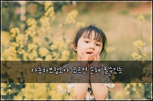 ์๋์ฐจ๋ณดํ๋ชจ์ ๋ชจ๋ฅด๋ฉด ์ํด ํ์์ธ๋ฏ