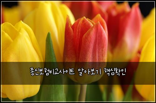 ์ข
์ ๋ณดํ๋น๊ต์ฌ์ดํธ ์์๋ณด๊ธฐ ํต์ฌํ์ธ