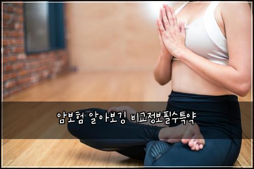 ์๋ณดํ ์์๋ณด๊น
๋น๊ต์ ๋ณดํ์ํน์ฝ