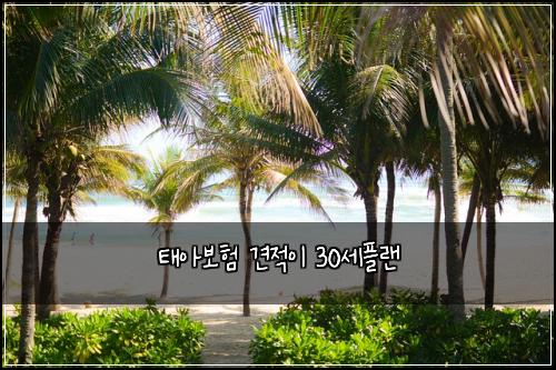 태아보험 견적이  30세플랜