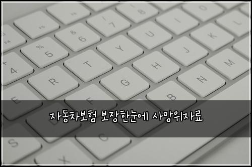 ์๋์ฐจ๋ณดํ ๋ณด์ฅํ๋์ ์ฌ๋ง์์๋ฃ