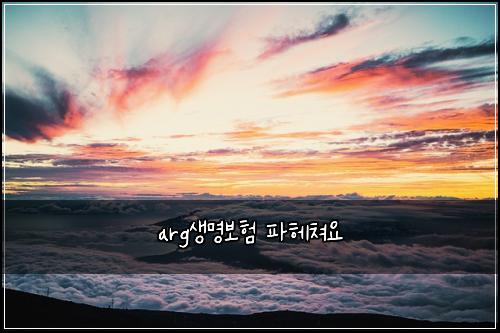 argμλͺ
보ν νν€μ³μ