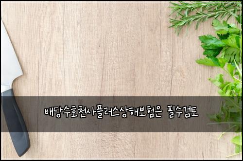 ๋ฐฐ๋น์ํธ์ฒ์ฌํ๋ฌ์ค์ํด๋ณดํ์ ํ์๊ฒํ