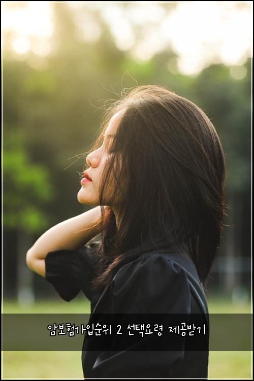 암보험가입순위 2 선택요령 제공받기
