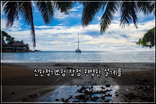 신한정기보험 장점  현명한 설계를