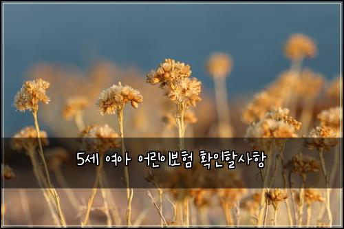 5세 여아 어린이보험 확인할사항 