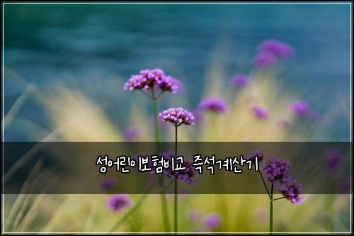 성어린이보험비교 즉석계산기