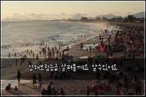 상해보험등급 살펴볼께요 알수있어요