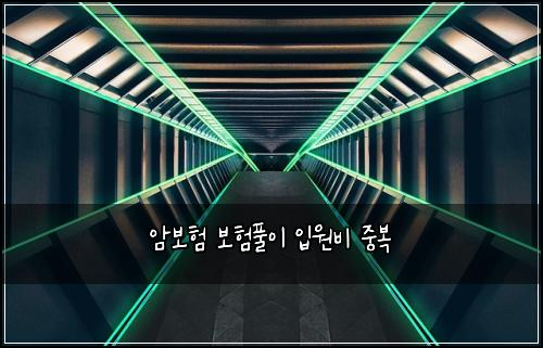 ์๋ณดํ ๋ณดํํ์ด ์
์๋น ์ค๋ณต