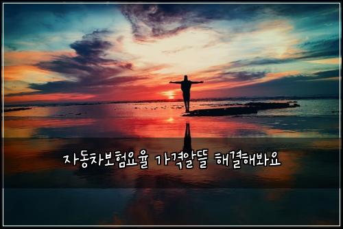 ์๋์ฐจ๋ณดํ์์จ ๊ฐ๊ฒฉ์๋ฐ ํด๊ฒฐํด๋ด์