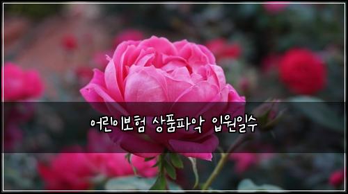 어린이보험 상품파악  입원일수