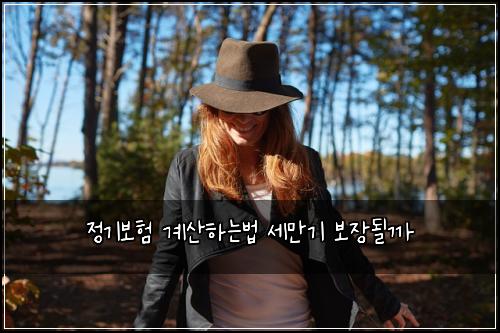 정기보험 계산하는법  세만기 보장될까